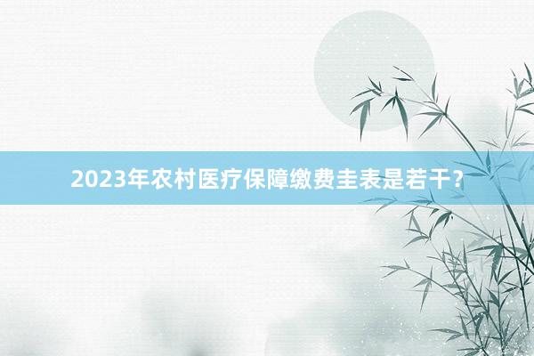 2023年农村医疗保障缴费圭表是若干？